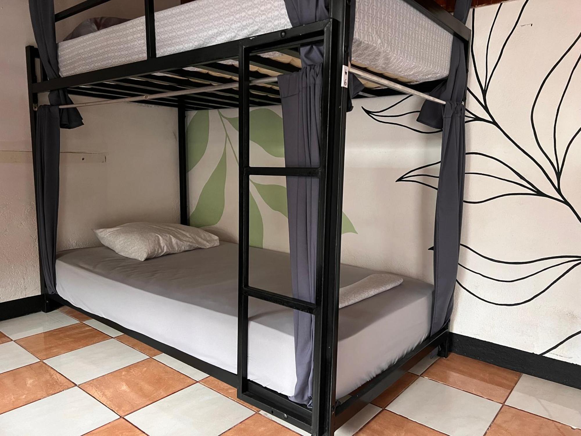 Rio Danta Hostel La Fortuna ภายนอก รูปภาพ