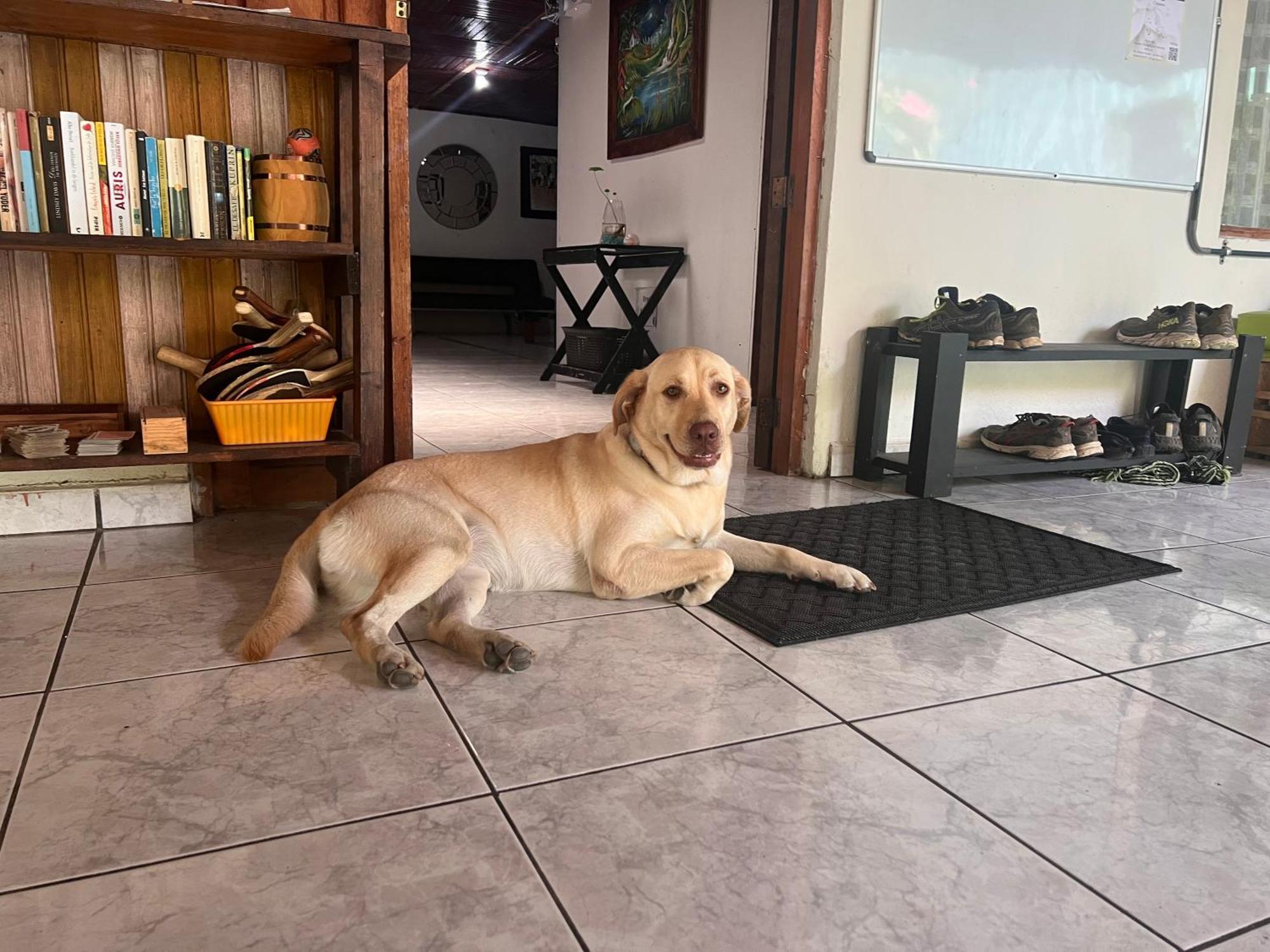 Rio Danta Hostel La Fortuna ภายนอก รูปภาพ