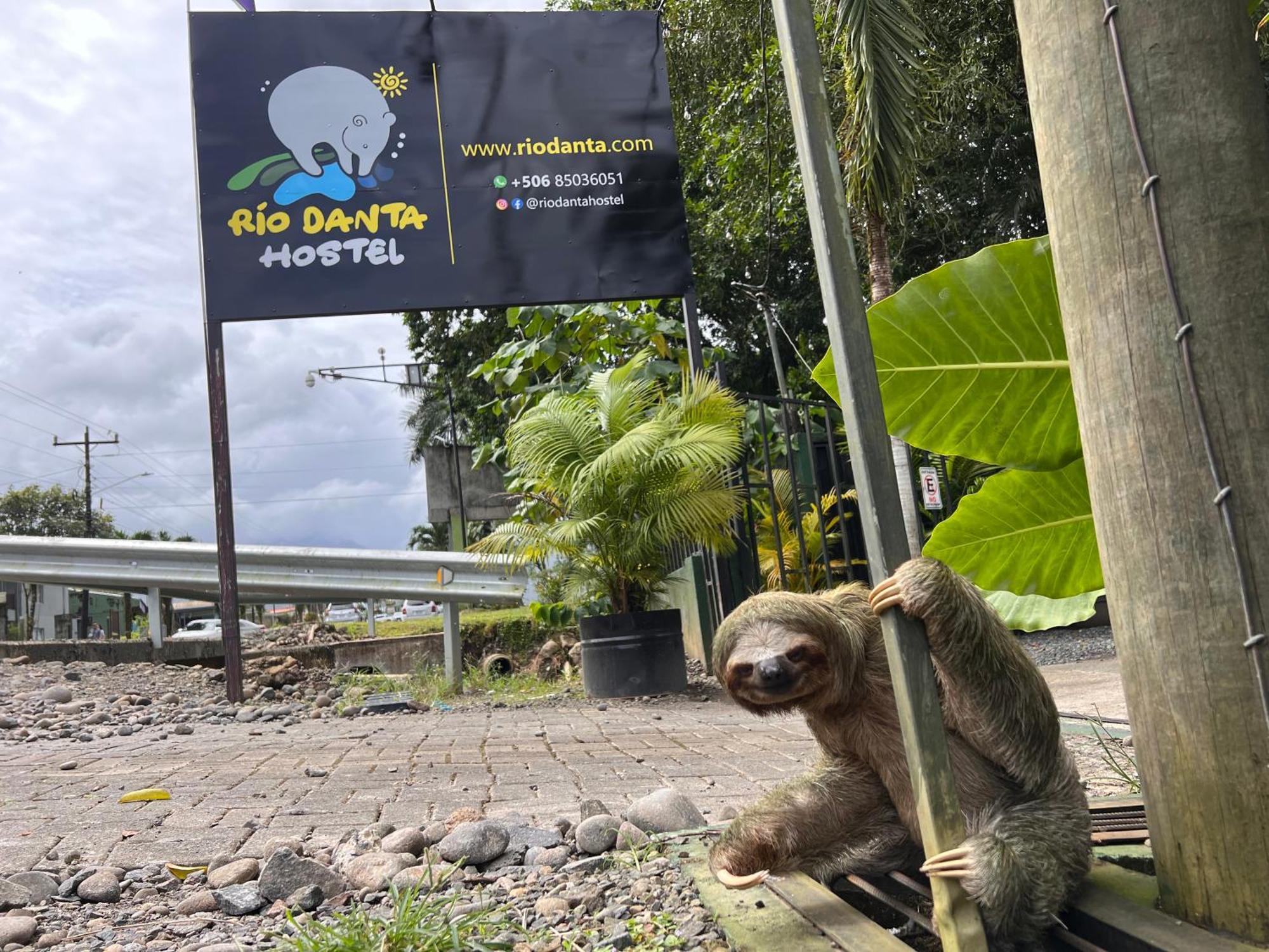 Rio Danta Hostel La Fortuna ภายนอก รูปภาพ